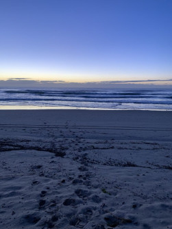 Gold Coast (24)