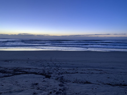 Gold Coast (25)