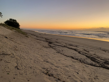 Gold Coast (26)