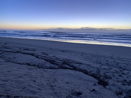 Gold Coast (27)