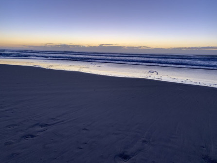 Gold Coast (28)