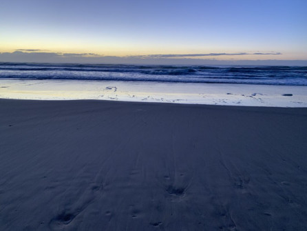Gold Coast (29)