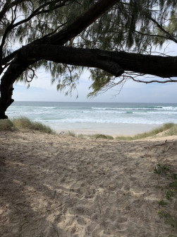 Gold Coast (3)