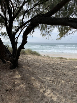 Gold Coast (4)