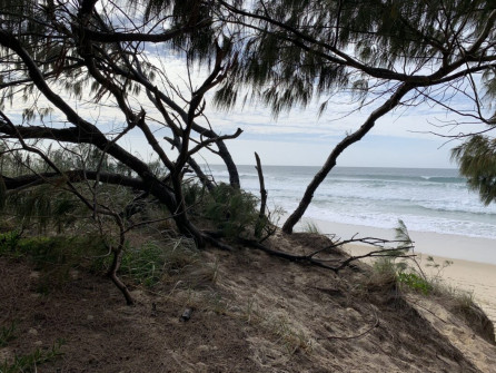Gold Coast (6)