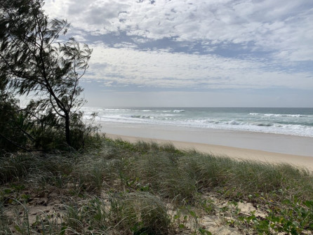 Gold Coast (7)