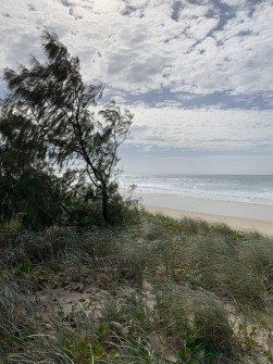Gold Coast (8)