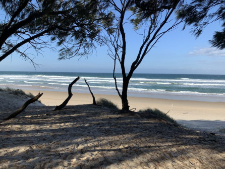 Gold Coast (9)