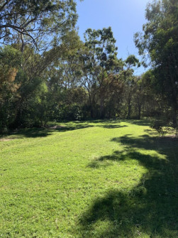 Gumdale (1)