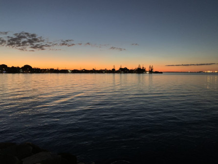 Manly (11)