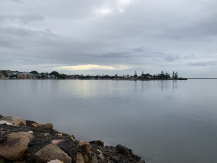 Manly (12)