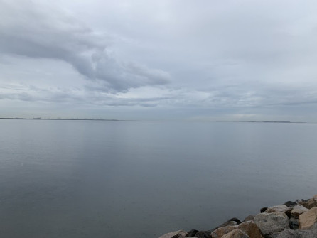Manly (13)