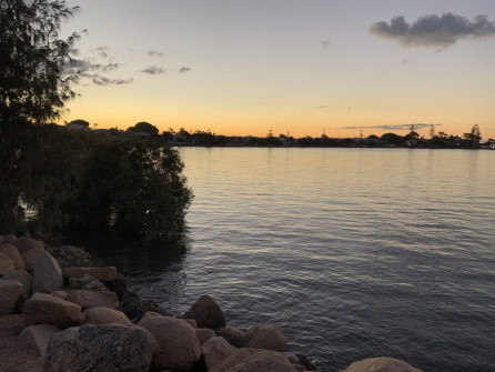 Manly (14)