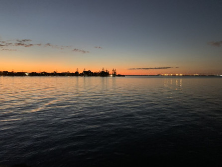 Manly (16)