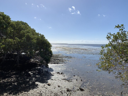 Manly (5)