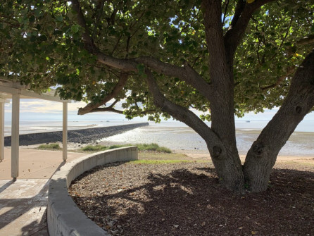 Manly (9)