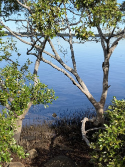 Wellington Point (3)