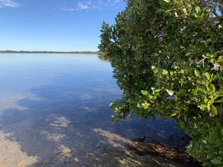 Wellington Point (5)