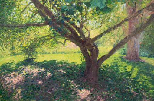 Dan Scott, Tree Series, 2021