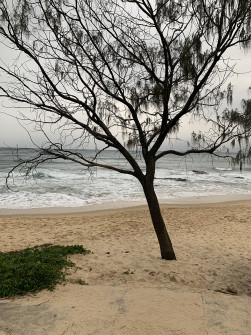 Mooloolaba (23)