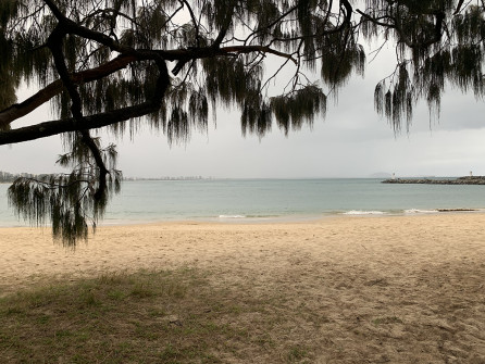 Mooloolaba (4)