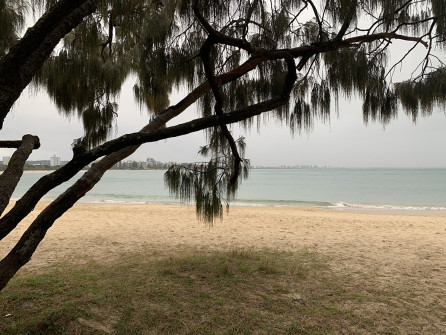 Mooloolaba (5)