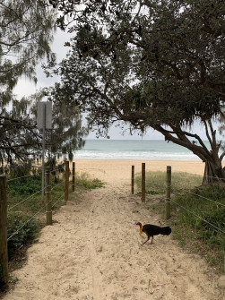 Mooloolaba (7)