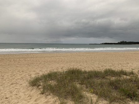 Mooloolaba (8)