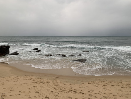 Mooloolaba (9)