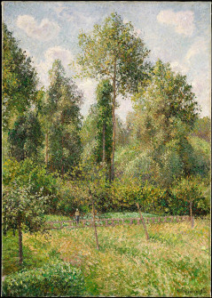 Camille Pissarro, Poplars, Éragny, 1895