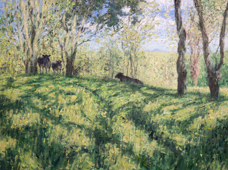 Dan Scott, Maryvale, Cows, 2022