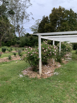 Maleny, Queensland, 2022 (14)