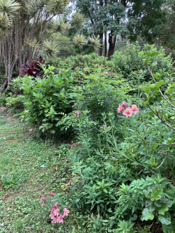 Maleny, Queensland, 2022 (21)