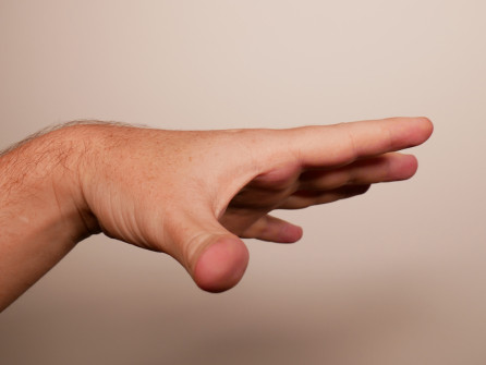 Male Left Hand (2)