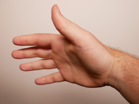 Male Right Hand (1)