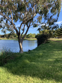 Perth_0848