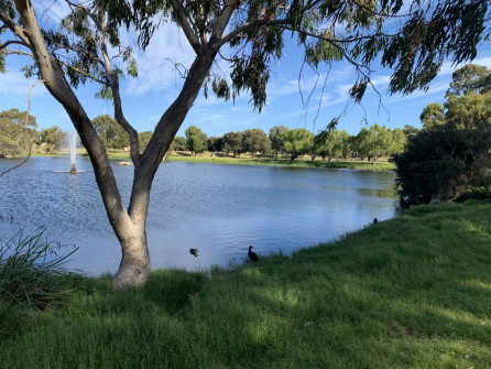 Perth_0849