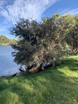 Perth_0857