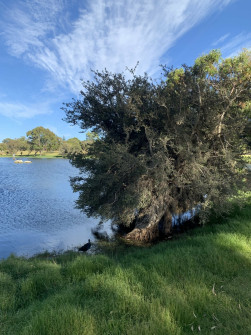Perth_0858