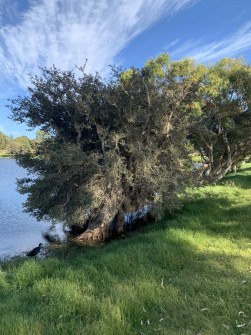 Perth_0859