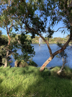 Perth_0861