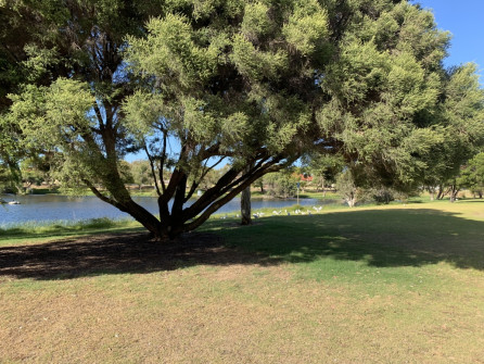 Perth_0862