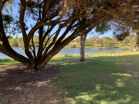 Perth_0863