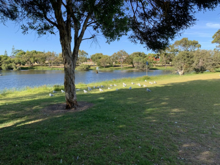 Perth_0864