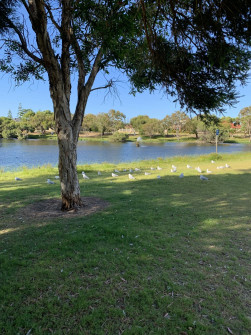 Perth_0865