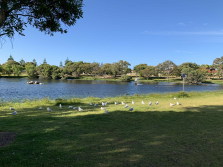 Perth_0866