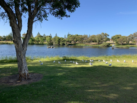 Perth_0867