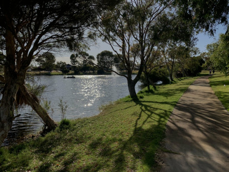 Perth_0875