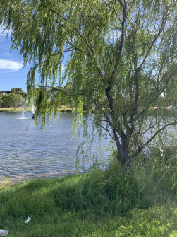 Perth_0880