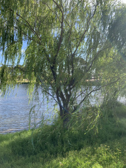 Perth_0881